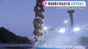津波で被害 宮城・気仙沼大島の養殖カキ 出荷に向けて作業進む