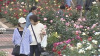 黄色やピンク色とりどり 高松市の公園で1600株のバラが見頃