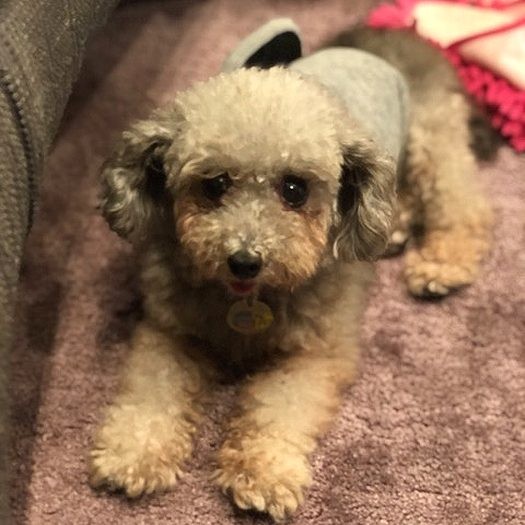 牧野家に来た頃