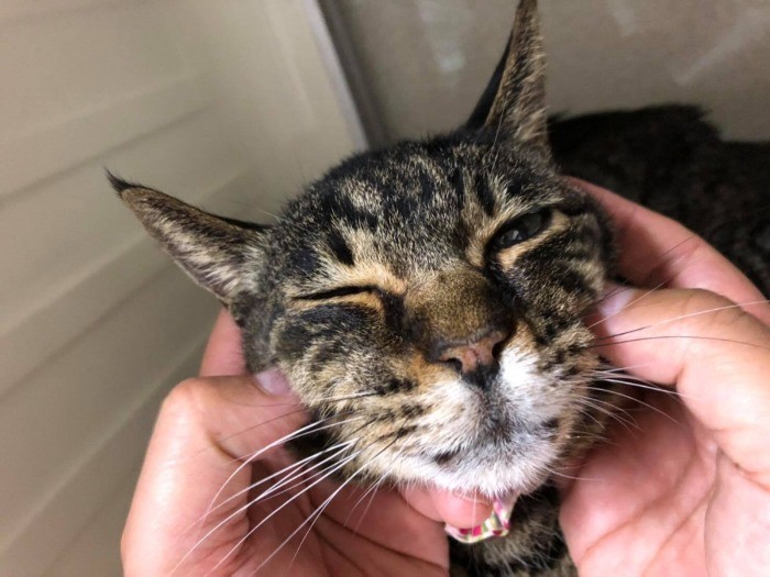 触らせてくれるようになった