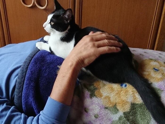 おとうさんのお腹でひと休み