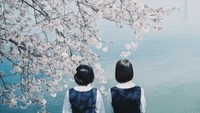 「幻想的」「素敵すぎる!」インスタフォロワー5万人超! 香川の風景を優しい光で切り取る女性写真家が話題