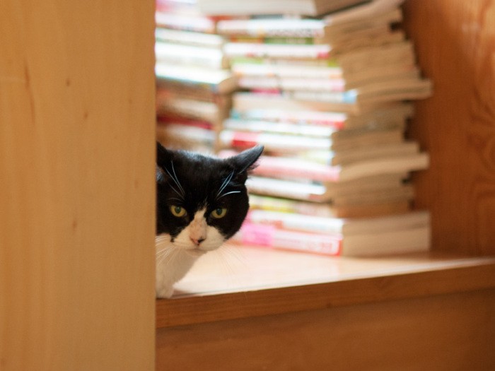 「市原悦子さんのまね」(小林写函撮影)