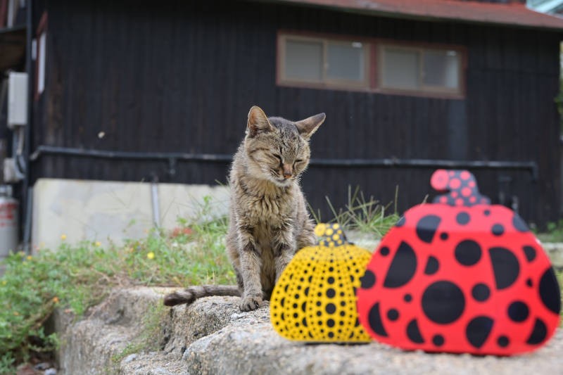直島限定の草間彌生さんデザインのお土産と