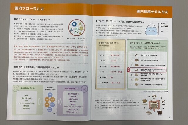 検査結果の見方ガイド