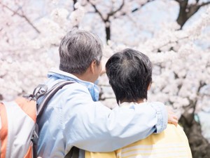 遺贈寄付をするにはどんな手続きをするの? 流れに沿って解説