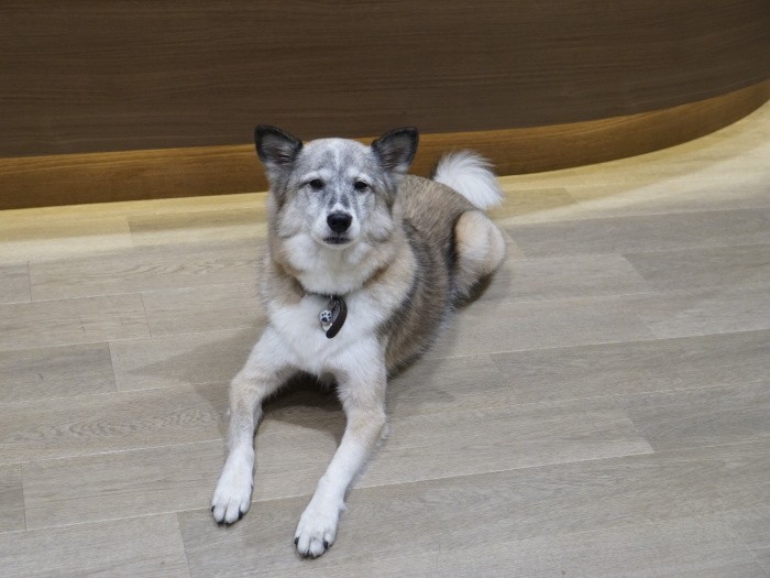 誰もいなくなった待合室でまったり