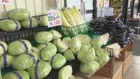 岡山でも「野菜の値上がり」に心配の声 全国的な大雨で