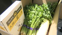〈新型コロナ〉飲食店用の需要減 岡山市で野菜のドライブスルー販売