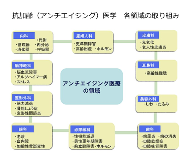 図 抗加齢医学 各領域の取り組み