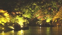 栗林公園 秋のライトアップ 夜間の入園者が4年ぶりに3万人下回る 雨の影響か… 香川