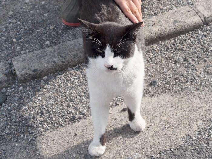 「まだ写真、撮るの?」(小林写函撮影)