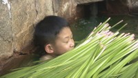端午の節句の5日 公衆浴場で「しょうぶ湯」のサービス 香川県