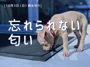 忘れられない匂い