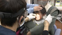 本格的な花粉シーズン前に患者増加 スギ花粉の飛散量 前年比で岡山5倍超え 香川8倍超え