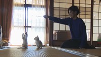 漫画家・まつざきしおりさんの「自分へのごほうび」って? 香川・直島町【くらしのアイデアパーク】