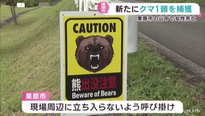 クマが襲撃 宮城県の栗原市と大崎市でクマを捕獲