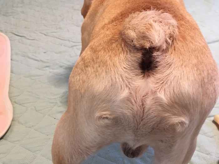 お尻も可愛いってママが言うの