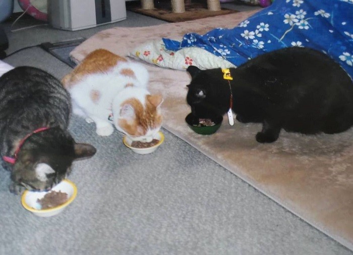 仲間と一緒によく食べ、すくすく育ちました(恵子さん提供)