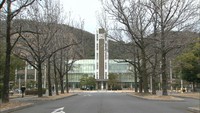 がん細胞の異常なミトコンドリアが免疫細胞を「乗っ取り」 免疫療法の効果を弱めるメカニズムを世界で初めて発見 岡山大など