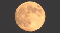 月が誕生したのはいつ?裏側はどうなってる? 美星天文台に聞いた「月」の疑問【みんなのハテナ】