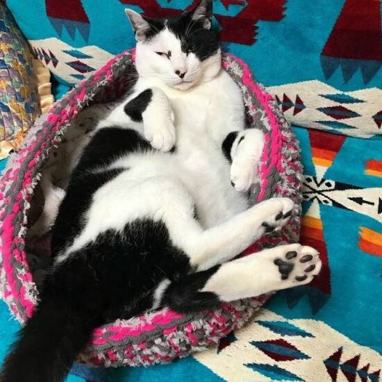 「どんな入り方をしてもいいんだよ、やわらかいからねByどん」(えり子さん提供)