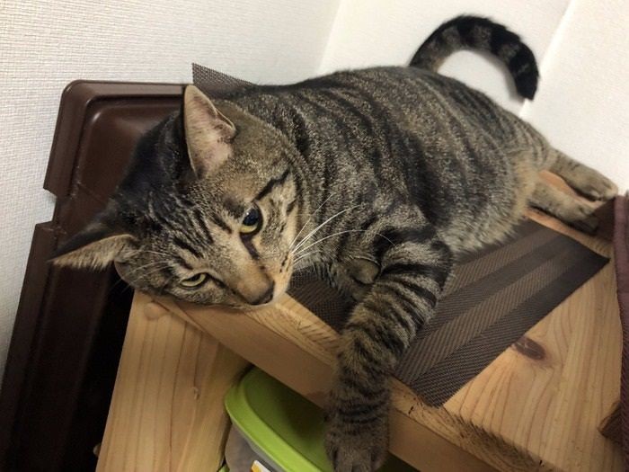 2人が帰って放心状態?「またお尻を撫でてほしいな~」