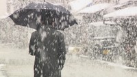 岡山県北で朝から雪 寒気のピーク 真庭市蒜山上長田などで真冬日に