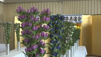 リンドウや菊の出来栄えは? 切り花の品評会 岡山・新見市