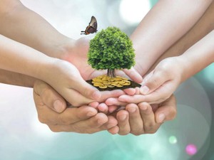 遺贈寄付を考えたら「信託による寄付」と「遺言による寄付」の違いを理解しよう