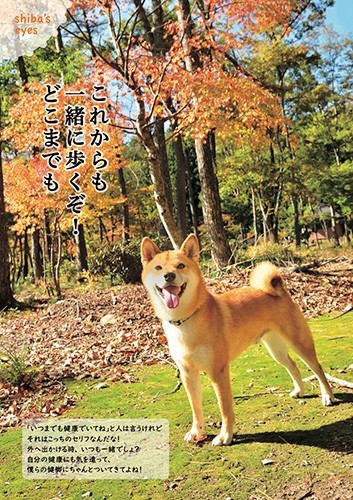 「これからも 一緒に歩くぞ! どこまでも」shiba's eyesより(辰巳出版提供)