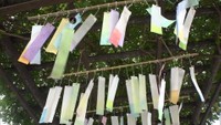 伝統の“手すき和紙”の短冊で涼を感じる 岡山・新見市の公園