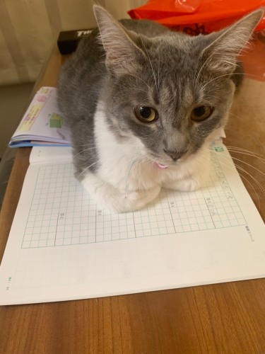 お勉強より、私と遊ばない?(優香さん提供)