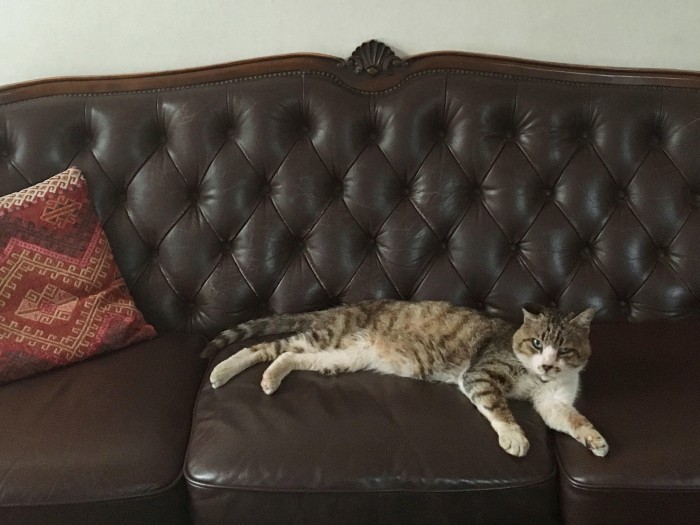 居間でものびのびとくつろいでいた