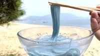青色の絶景グルメ「津田の松原サヌキブルーうどん」7月19日からサービスエリアで販売 香川・さぬき市