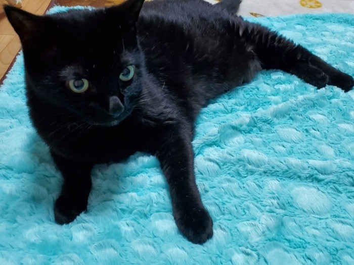 イヌオちゃん、またいっぱい食べよう