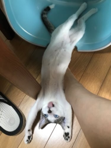 桶から飛びでてじゃじゃじゃじゃーん