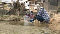 西日本豪雨から1週間 厳しい暑さのなか復旧作業続く…いまだ断水の地域も