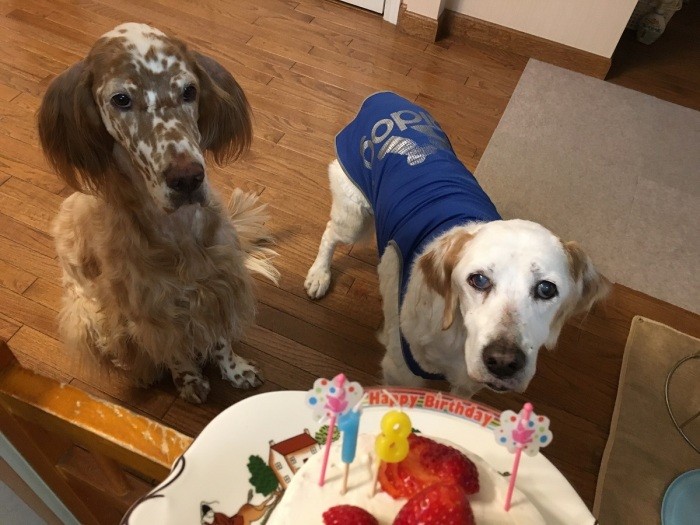 18歳の誕生日を迎えたエリアル(右)と妹分ソフィア(長谷川さん提供)