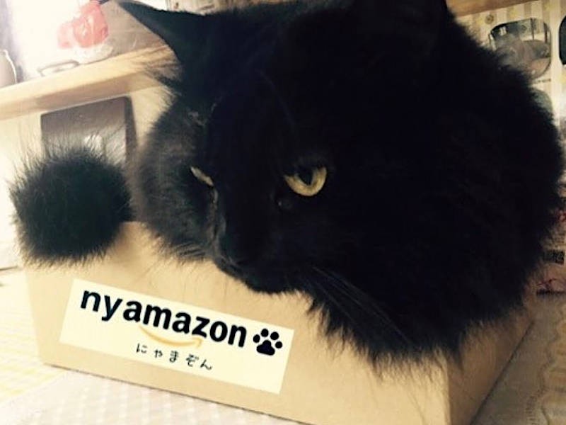 箱はご多分に漏れずお気に入り