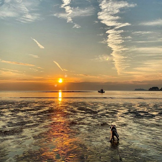 ライフスタイルが変わったベティさん。「息をのむような夕焼け、犬との楽しい時間、お散歩で会う方々の優しい言葉。ハチコといるとたくさんの楽しいことがあふれているよ」