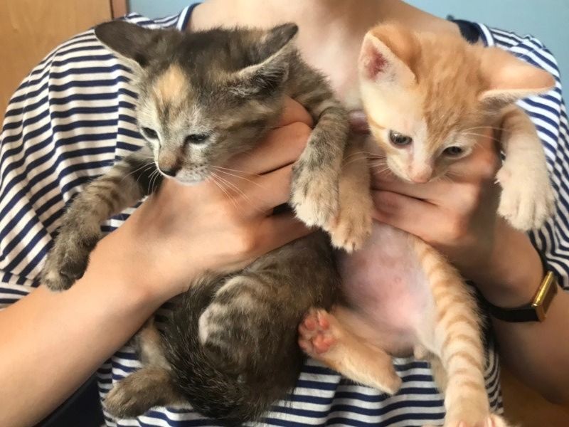 2019年5月半ば、お見合いした時(池田さん提供)