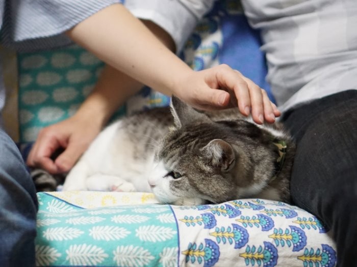 大事にされてぬくぬく「よっしゃ、愛情1人占めだい」