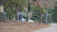 岡山県で今シーズン初の「冬日」 県北の3地点など 13日夜からの強い冷え込みで
