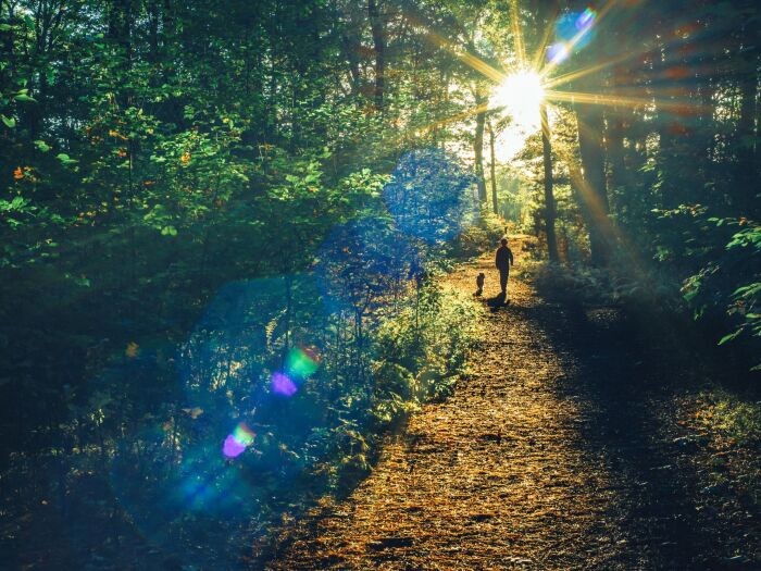 遺贈希望の方は心底動物好きの方々。動物に感謝している、とみな語ってくれます