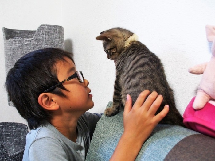 何やら語らい合う貫太くんとフク