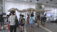 大きくてびっくり 小学生が恐竜の骨などを見学 岡山理科大学