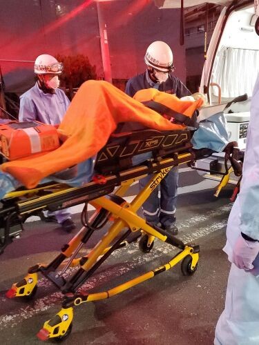 救急搬送時、再び猫に会えるか本当にわかりませんでした