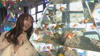まるで金魚の王国 「瀬戸内の景色×アクアリウム」の映えスポット 香川・宇多津町
