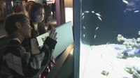 長期入院中の子どもに水族館からネット中継! 約70人が楽しむ 香川・宇多津町